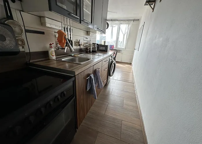 Jungle Style 2 Lockable Bedrooms, 10 Mins To Center, Floor Balcony With View, King-size Bed, High Speed Internet, Coffee Daire *