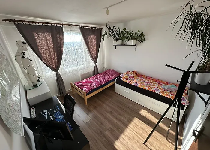 Jungle Style 2 Lockable Bedrooms, 10 Mins To Center, Floor Balcony With View, King-size Bed, High Speed Internet, Coffee *