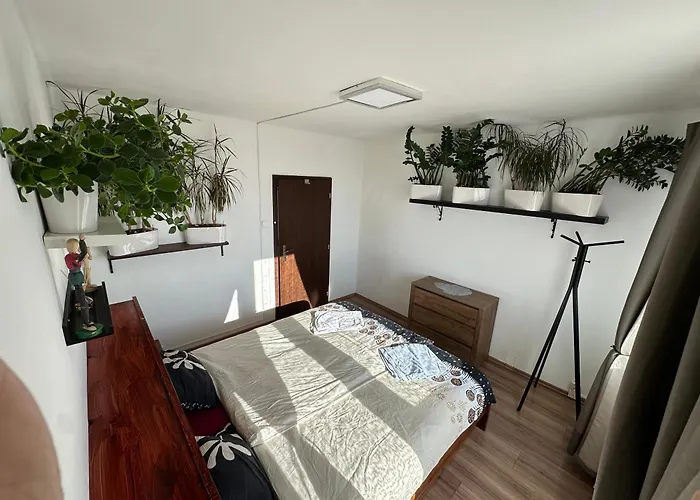 Jungle Style 2 Lockable Bedrooms, 10 Mins To Center, Floor Balcony With View, King-size Bed, High Speed Internet, Coffee