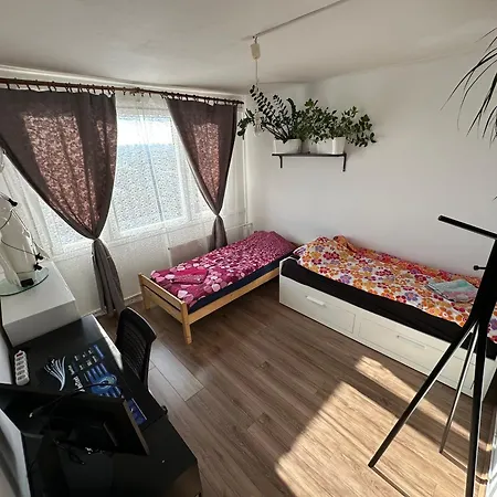 Jungle Style 2 Lockable Bedrooms, 10 Mins To Center, Floor Balcony With View, King-size Bed, High Speed Internet, Coffee *