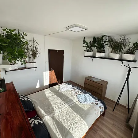 Jungle Style 2 Lockable Bedrooms, 10 Mins To Center, Floor Balcony With View, King-size Bed, High Speed Internet, Coffee